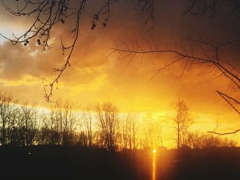 Silhouette bare trees against sky during sunset