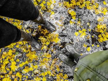 Low section of man standing on yellow flower
