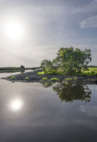 Reflection of tree in water against sky