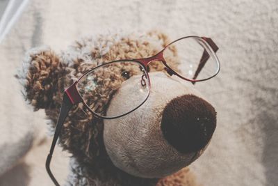 High angle view of stuffed toy on table