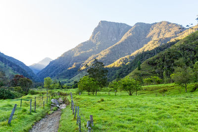 Scenic view of mountain range against clear sky