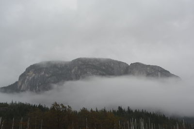 Trees on mountain against sky