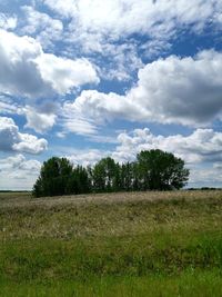 Trees on field against sky