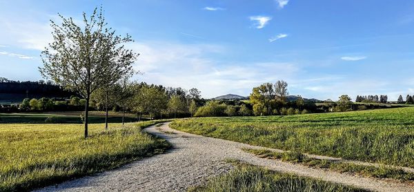 Empty road along countryside landscape