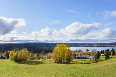 Scenic view of field against sky