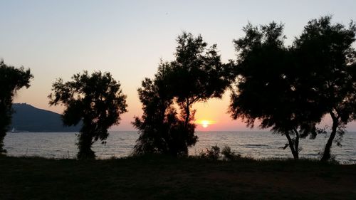 Silhouette trees on beach against sky during sunset