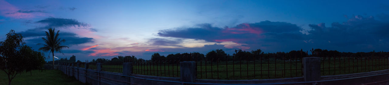 PANORAMIC VIEW OF TREES AGAINST BLUE SKY