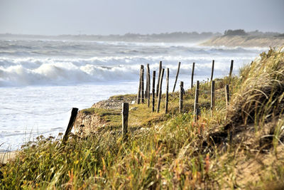 Wooden posts on beach against sky