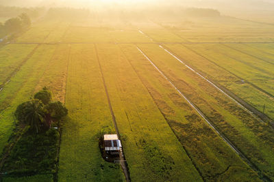 High angle view of agricultural field