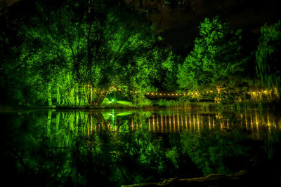 Scenic view of lake in forest