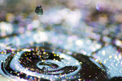 Close-up of water drop on leaf