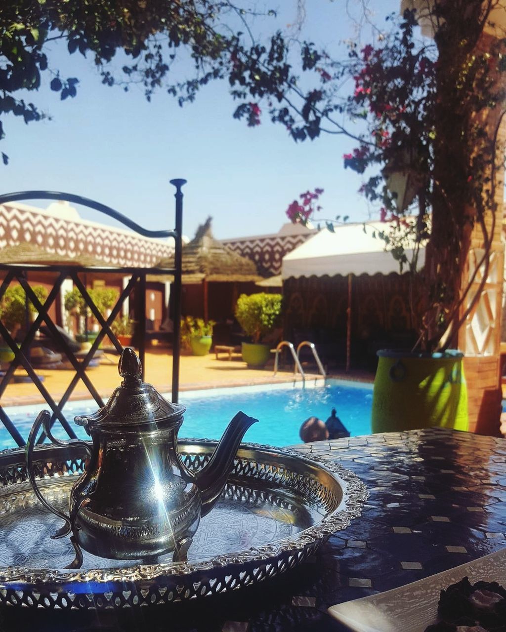 CLOSE-UP OF SWIMMING POOL AGAINST TREE