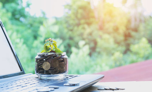 Close-up of seedling with coins in jar on laptop