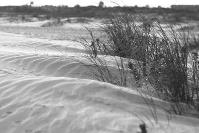 Close-up of snow on sand dune