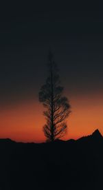 Silhouette trees on field against sky during sunset