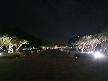 View of illuminated park at night