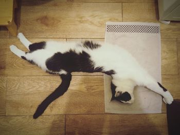Cat sleeping on hardwood floor