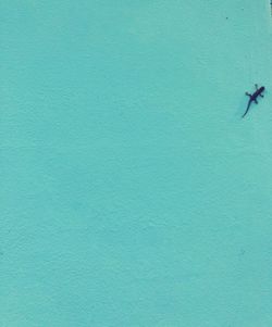 Full frame shot of blue wall