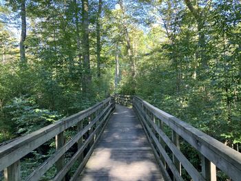 Footbridge amidst trees in forest