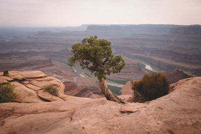 View of a desert