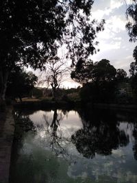 Reflection of silhouette trees in lake against sky