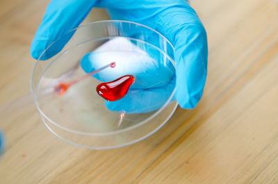 Cropped hand holding blood sample in petri dish at table