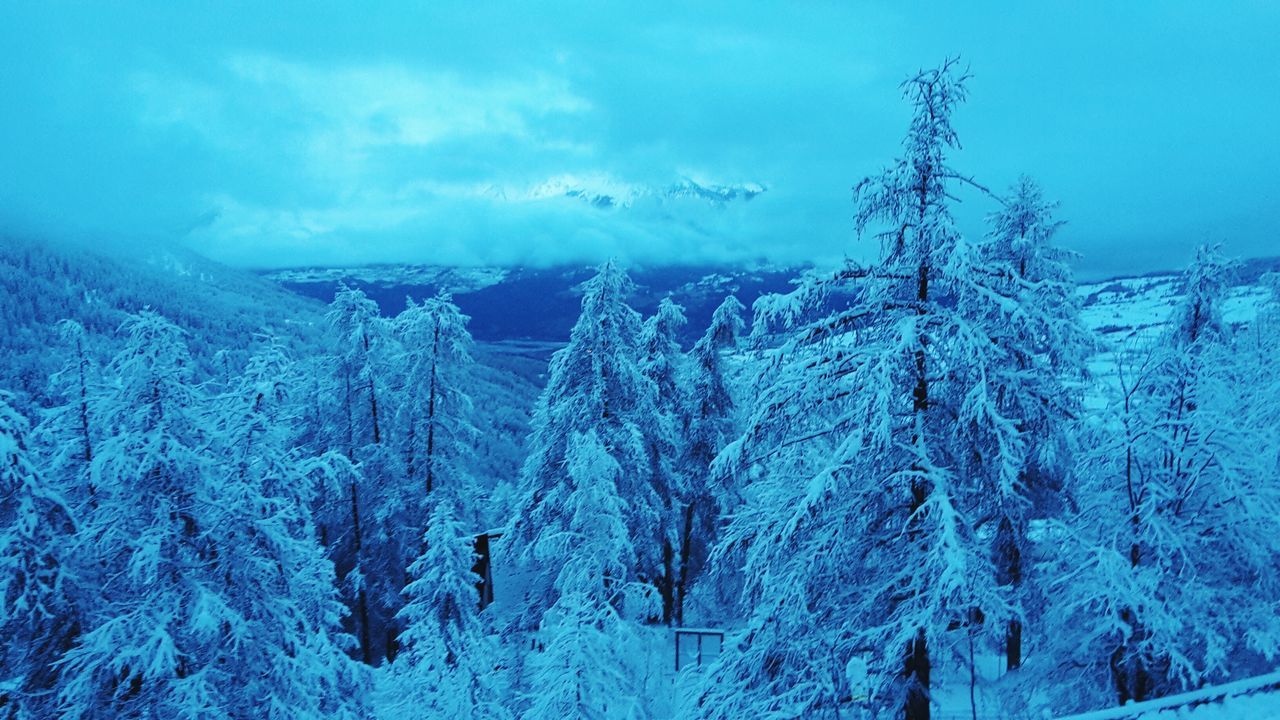 snow, cold temperature, winter, season, weather, tranquil scene, tranquility, beauty in nature, covering, scenics, frozen, landscape, blue, nature, tree, sky, snowcapped mountain, covered, mountain, white color