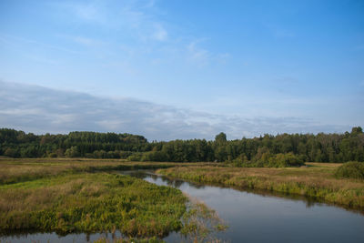 Scenic view of lake and green landscape against sky