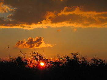 Scenic view of sunset