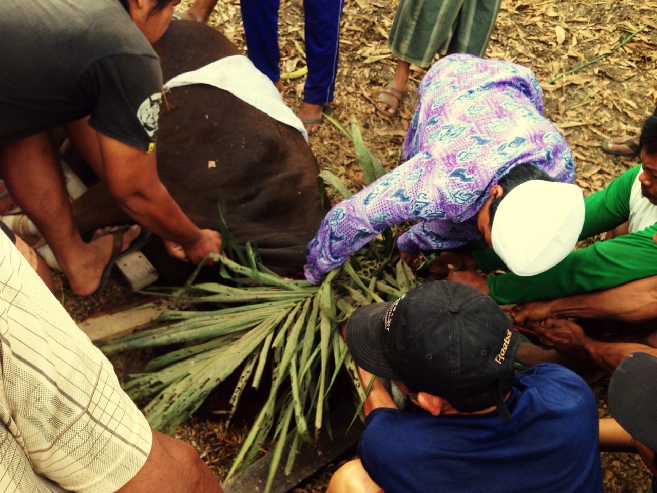 Lebaran haji 2015