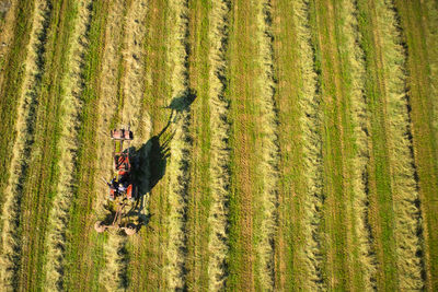 Top view of a hay field during harvest 