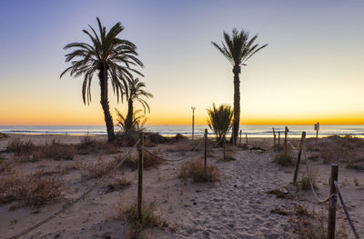 Scenic view of beach during sunset