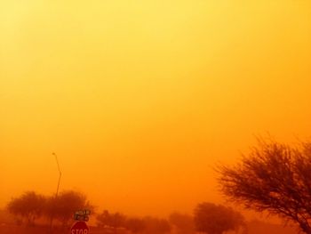 Silhouette trees against orange sky