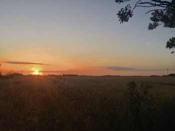 Scenic view of field against sky during sunset