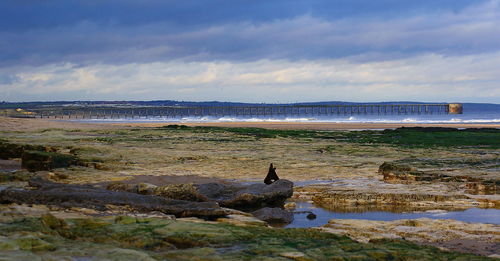 Man standing on beach against sky