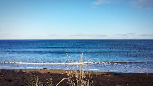 Scenic view of sea against clear blue sky