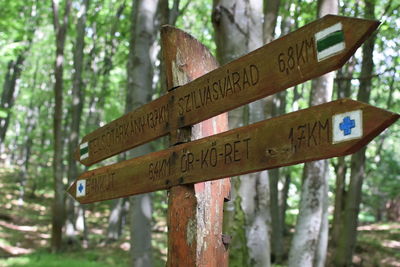 Close-up of information sign on wooden post