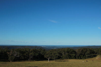 Scenic view of landscape against clear blue sky