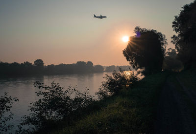 Airplane flying over trees against sky during sunset