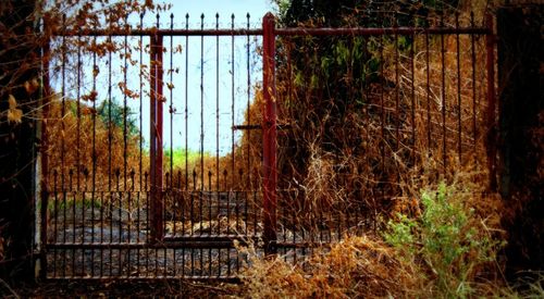 Closed door of building