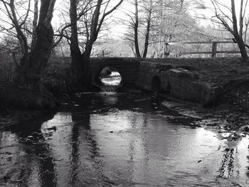 Bridge over river amidst bare trees against sky