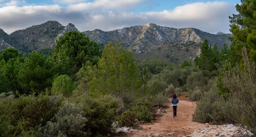 Rear view of people on mountain amidst trees against sky