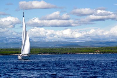 Sailboat sailing in sea against sky