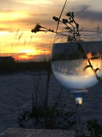 Scenic view of sea at sunset