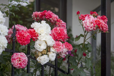 Close-up of pink rose bouquet