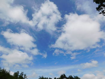 Low angle view of trees against blue sky