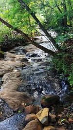 River flowing through rocks in forest