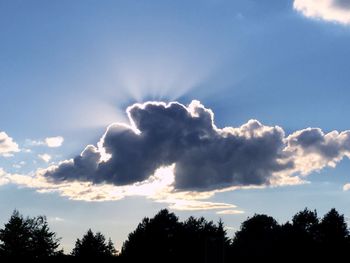 Low angle view of trees against cloudy sky