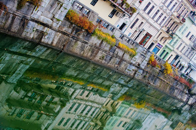 Low angle view of buildings in city