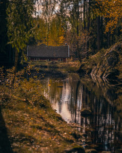 Trees by lake in forest during autumn